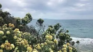 Mare di Castiglioncello
