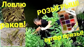 О том как я раков ловил. Ловля на раколовки. Розыгрыш крутых призов!