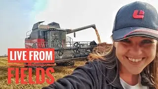 🔴LIVE FROM FIELDS - LAVERDA M400 - RICE HARVEST 2017