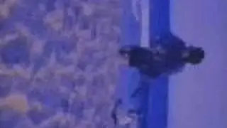 The Cure - Mint Car / different version
