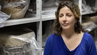 L’ex Museo Coloniale di Roma – Parità