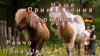 Ранчо Пони и Наше приключения в Германии 🇩🇪