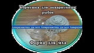 Посылки №14 и №15. Кормушка для живого корма. Форма для мха.