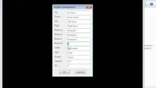 My Visual Boy Advance Settings