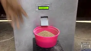 Automated Weight-based for Piglet using Raspberry Pi (DEMO).