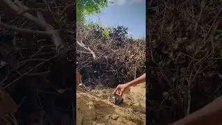 THAR OFF-ROAD