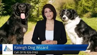 The Dog Wizard Raleigh Review Cary NC Highcroft 27511 919 926 9165