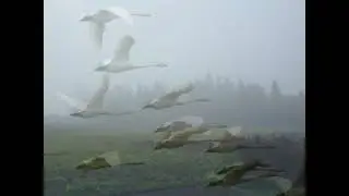 А  С  Пушкин Уж небо осенью дышало