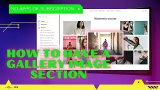 Image Gallery Section for Shopify - No Apps or Subscription