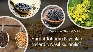 What are the Benefits of Mustard Seed, How to Use It, Does It Help You Lose Weight? What is It Go...