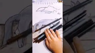 Кошачий Сон 
