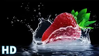 Animation Motion Graphics Background  |  Free HD Vides – no copyright