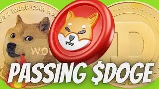 CNBC Says Shiba Inu Will Pass Dogecoin In 1 Year From This