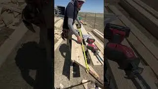 Tiny home build: cutting and installing rafters.