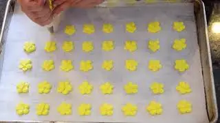 Yellow Royal Icing Flowers Cupcake Decorations | Pati Cake Speed Decorating