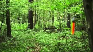 Hunter Safety System Night N Day Trail Markers