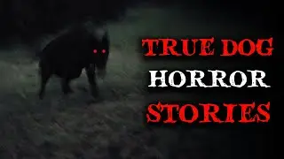 3 Creepy TRUE Dog Horror Stories