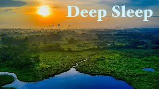 Relaxing Music for Deep Sleep, Delta Waves, Calm Background for Sleeping | 10 Hour Sleep Music