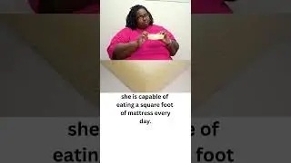 Love eating mattress Sandwich? | #shorts | #shortsvideo