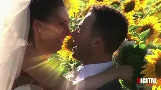 Vitascene Effects and Transitions (Wedding Shooting)