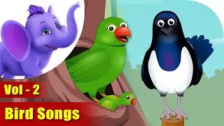 Bird Songs Vol 2| 4K | Appu Series