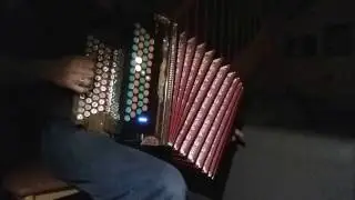 Kleiner Harmonikaspieler | GCFB | Steirische Harmonika