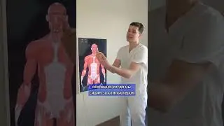 ПОЧЕМУ ПЛЕЧИ УХОДЯТ ВПЕРЁД? 