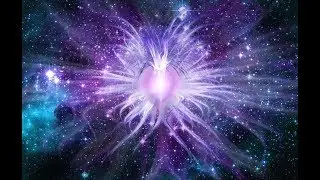 Целительский Cеанс [11]
