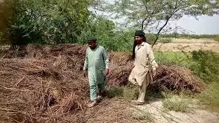 Desert Village Life |Pakistani Desert People's Life Style |Dangerous Warking Village People's ||
