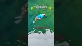 CARA AGAR TIDAK TENGGELAM DI AIR (WAJIB LIHAT)