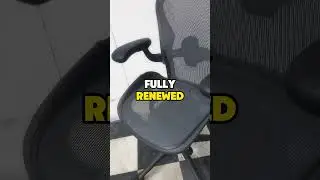 What is the best office chair?