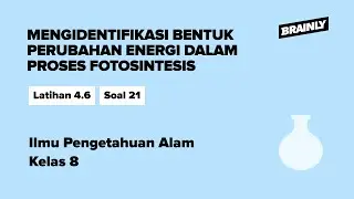 Dalam proses fotosintesis, perubahan energi | Biologi, IPA Kelas 8 | Latihan Ulangan Bab 4 A