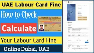 How to check labour card fine in uae | how to calculate labour card fine | Dubai labour card fine