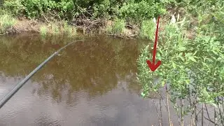РЕЧКА С СЮРПРИЗАМИ! Рыбалка на удочку БЕЗ ПОПЛАВКА! что только не поймаешь!!!