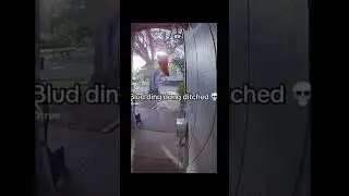 Random vid I found💀