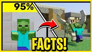 CRAZY 💎Minecraft Facts💎 You DEFINITELY Didn't Know!