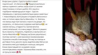 Видеонаблюдение