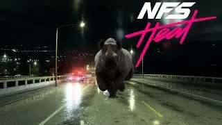 Rhino incoming!