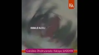 Mudaharaadyada Hargaysa.