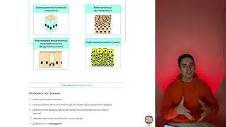 ТКАНИ ЧЕЛОВЕКА ДЛЯ ЕГЭ 2024