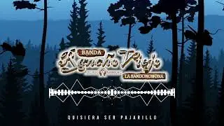 La Bandononona Rancho Viejo de Julio Aramburo - Quisiera Ser Pajarillo (Visualizer)