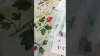 2 июня 2024 г.