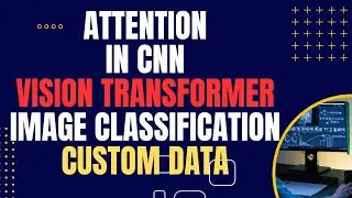 Attention Mechanism in CNN - Vision Transfomer model -Image classification -Own data