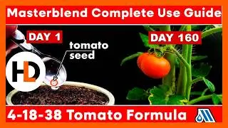 Everything You Need To Know About Using Masterblend
