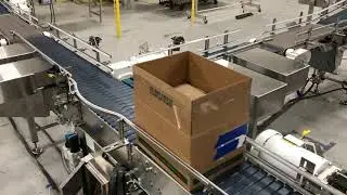 Metered Merge Conveyor with Manual Lift Gates by Multi-Conveyor