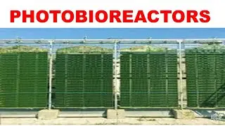 Photobioreactors