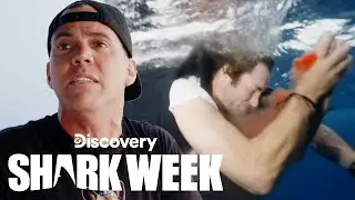 Shark Bites 'Jackass' Star Poopies | Shark Week