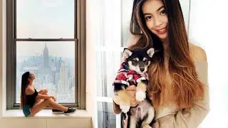 Nové štěně a žádost o ruku v New Yorku!  | VLOG