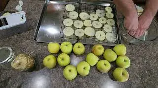 Homemade dehydrated Apple Chips