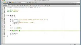 109 Reading a line from text file into a character array using fgets function